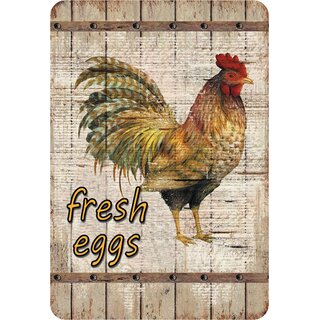 Schild Motiv "Fresh Eggs" Hahn 20 x 30 cm Blechschild
