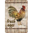 Schild Motiv "Fresh Eggs" Hahn 20 x 30 cm...