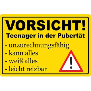 Schild Spruch "Vorsicht, Teenager in der Pubertät" 20 x 30 cm Blechschild