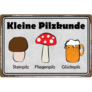 Schild Spruch "Kleine Pilzkunde, Steinpilz Fliegenpilz Glückspils" 20 x 30 cm Blechschild