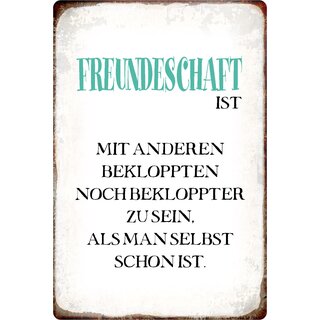 Schild Spruch "Freundschaft ist mit anderen Bekloppten noch bekloppter" 20 x 30 cm Blechschild