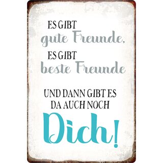 Schild Spruch "Gute Freunde, Beste Freunde und Dich" 20 x 30 cm Blechschild