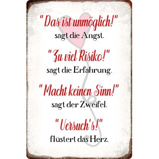 Schild Spruch "Das ist unmöglich, zu viel Risiko, macht keinen Sinn" 20 x 30 cm Blechschild