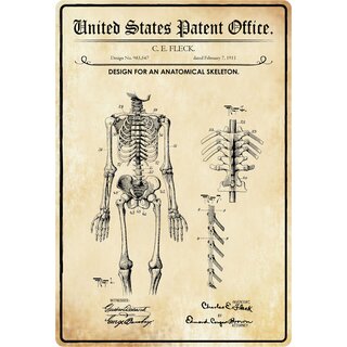 Schild Motiv "Design for an anatomical skeleton" Skelett 20 x 30 cm Blechschild