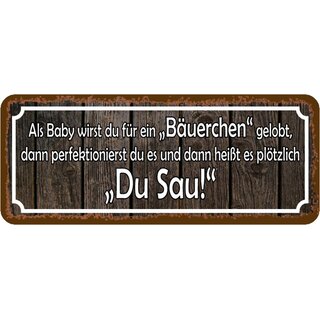 Schild Spruch "Baby Bäuerchen gelobt" 27 x 10 cm 