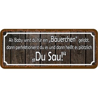 Schild Spruch "Baby Bäuerchen gelobt" 27 x 10 cm