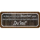 Schild Spruch "Baby Bäuerchen gelobt" 27 x...