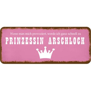 Schild Spruch "provoziert Prinzessin Arschloch" 27 x 10 cm 