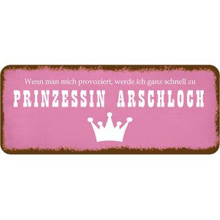 Schild Spruch "provoziert Prinzessin Arschloch" 27 x 10 cm