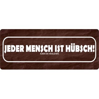 Schild Spruch "Jeder Mensch hübsch, außer hässlichen" 27 x 10 cm