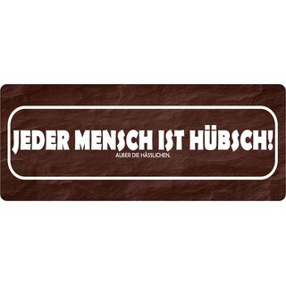 Schild Spruch "Jeder Mensch hübsch, außer hässlichen" 27 x 10 cm 