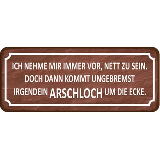 Schild Spruch "nehme mir vor, nett zu sein  - Arschloch um Ecke" 27 x 10 cm
