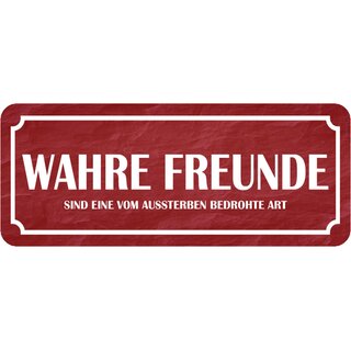 Schild Spruch "wahre Freunde - vom Aussterben bedrohte Art" 27 x 10 cm 
