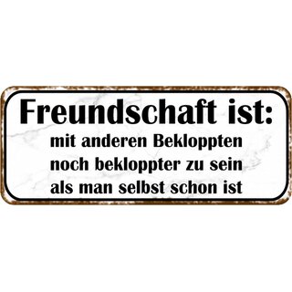 Schild Spruch "Freundschaft - mit Bekloppten bekloppter sein" 27 x 10 cm 