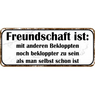 Schild Spruch "Freundschaft - mit Bekloppten bekloppter sein" 27 x 10 cm