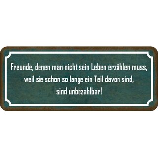 Schild Spruch "Freunde Leben - Teil davon, unbezahlbar" 27 x 10 cm 