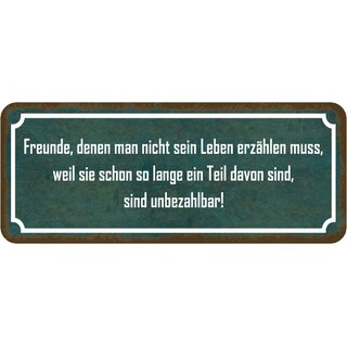 Schild Spruch "Freunde Leben - Teil davon, unbezahlbar" 27 x 10 cm