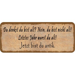 Schild Spruch "letztes Jahr warst du alt, jetzt antik" 27 x 10 cm