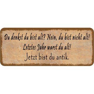 Schild Spruch "letztes Jahr warst du alt, jetzt antik" 27 x 10 cm 