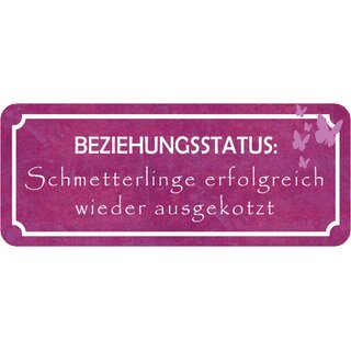 Schild Spruch "Beziehungsstatus: Schmetterlinge ausgekotzt" 27 x 10 cm