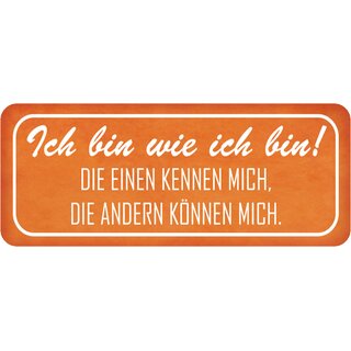 Schild Spruch "wie ich bin - einen kennen, andere können mich" 27 x 10 cm
