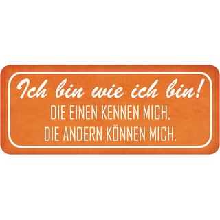 Schild Spruch "wie ich bin - einen kennen, andere können mich" 27 x 10 cm   