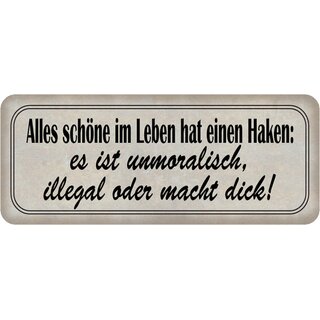 Schild Spruch "schöne im Leben hat Haken - unmoralisch, illegal, dick" 27 x 10 cm