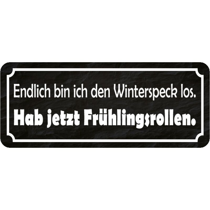Schild Spruch "Endlich Winterspeck los habe Frühlingsrollen" 27 x 1