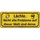 Schild Spruch "Lächle - nicht alle Probleme...