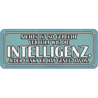 Schild Spruch "Nichts so verteilt wie Intelligenz - denkt hat genug" 27 x 10 cm   