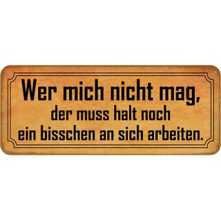 Schild Spruch "Wer mich nicht mag, muss an sich arbeiten" 27 x 10 cm