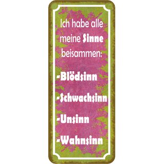 Schild Spruch "Sinne beisammen - Blödsinn, Unsinn, Wahnsinn" 27 x 10 cm 