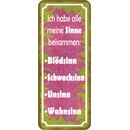 Schild Spruch "Sinne beisammen - Blödsinn,...