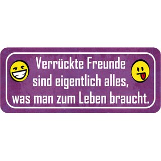 Schild Spruch "verrückte Freunde - alles, was zum Leben braucht" 27 x 10 cm 