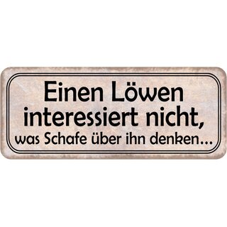 Schild Spruch "Löwen interessiert nicht, was Schafe denken" 27 x 10 cm
