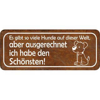Schild Spruch "viele Hunde, aber ich habe Schönsten" 27 x 10 cm