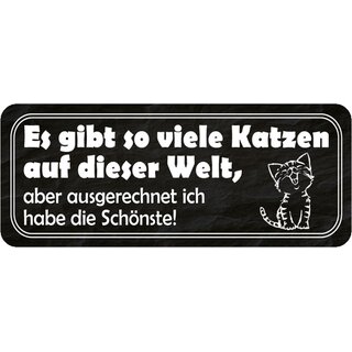 Schild Spruch "viele Katzen - ich habe Schönste" 27 x 10 cm 