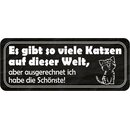 Schild Spruch "viele Katzen - ich habe...