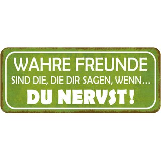 Schild Spruch "Wahre Freunde - die sagen, wenn du nervst" 27 x 10 cm 