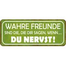 Schild Spruch "Wahre Freunde - die sagen, wenn du...