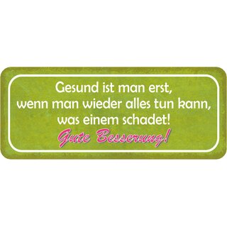 Schild Spruch "Gesund wenn alles tun kann, was schadet - Gute Besserung" 27 x 10 cm