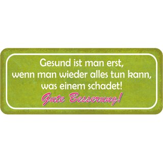 Schild Spruch "Gesund wenn alles tun kann, was schadet - Gute Besserung" 27 x 10 cm 