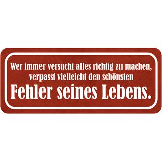 Schild Spruch "versucht richtig machen, verpasst schönsten Fehler Lebens" 27 x 10 cm 