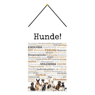 Schild Spruch Hunde - Knochen Familie Freund Spazieren 20 x 30 cm Blechschild mit Kordel
