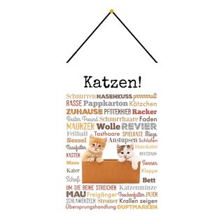 Schild Spruch "Katzen - Schnurren Mau Kater Maus Zuhause" 20 x 30 cm Blechschild mit Kordel