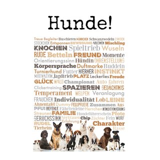 Schild Spruch "Hunde - Knochen Familie Freund Spazieren" 20 x 30 cm 