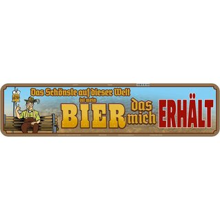 Schild Spruch "Schönste ist Bier, das erhält" 46 x 10 cm