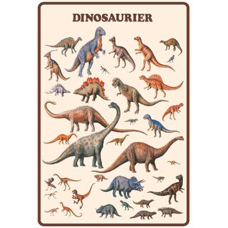 Schild Spruch "Dinosaurier" Arten 20 x 30 cm 