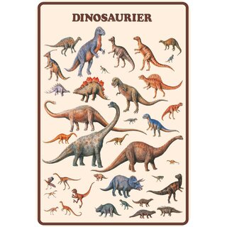 Schild Spruch "Dinosaurier" Arten 20 x 30 cm