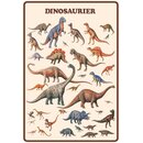 Schild Spruch Dinosaurier Arten 20 x 30 cm 